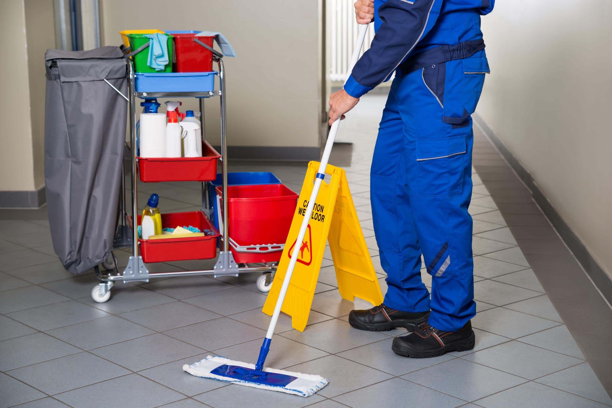 Cleaning professional